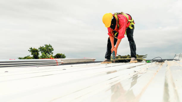 Best Commercial Roofing Services  in Hastings, MI